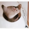 thumbnail image 4 of Cat Wand Teaser Stick for Kittens Interactive Cat Toy Teaser with Tassel, 4 of 5