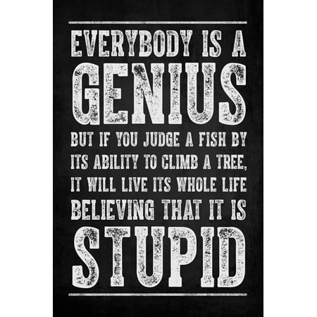 genius everybody poster motivational classroom
