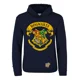 thumbnail image 1 of Sudadera Harry Potter Escuela Hogwarts (letras Doradas), 1 of 5