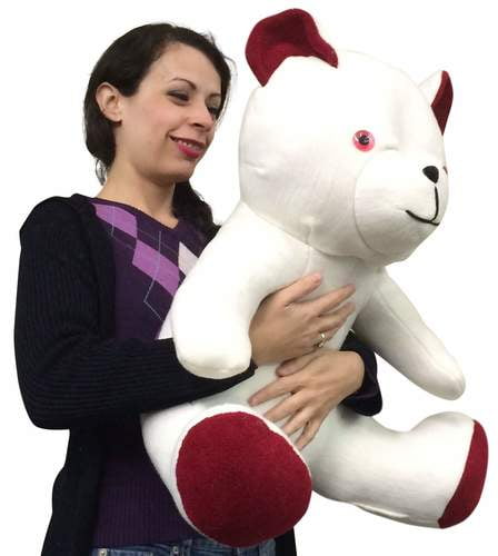 cuddle buddy teddy bear