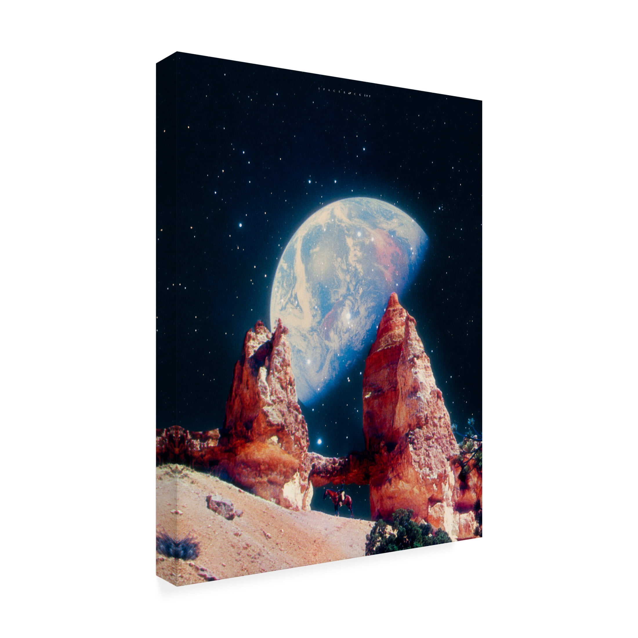 Trademark Fine Art spacerocket art 529 Canvas Wall Art