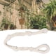 thumbnail image 3 of Colgadores de Plantas de Macrame, Cuerda de Algodón Ajustable Versátil Portador de Macetas de Planta 6 piezas para el HOGAR, 3 of 7