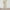 A12 Beige, variant on Sweatpants for Women Straight Leg High Waisted Pants with Pockets Dressy Casual Lounge Pants Drawstring Elastic Waist Solid Color Fall Fashion Trousers Sofy Comfy Bottoms, Army Green 2XL
