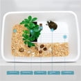 thumbnail image 4 of Pequeño tanque doméstico de alimentación de tortugas con plataforma de secado al sol, 4 of 6