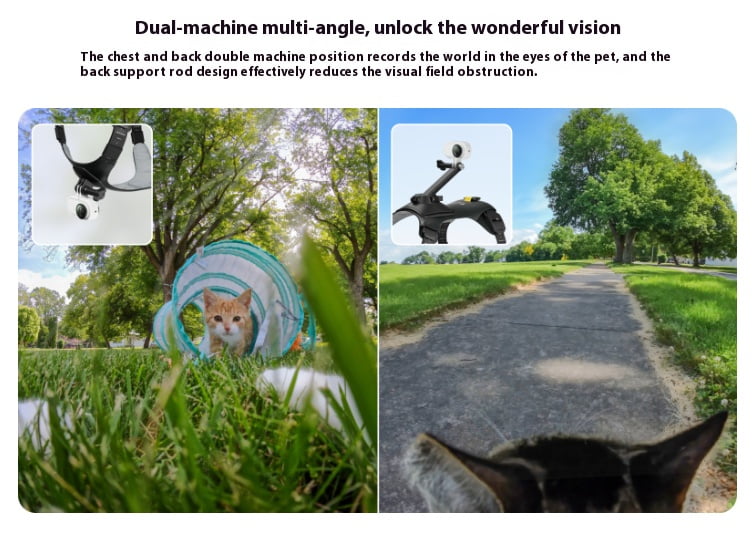 Dual-Angle Pet Camera Harness - Bigcan Adjustable Dog Chest & Back Mount Vest Compatible with GO 3S/GO 3/GO 2, Lightweight Breathable Strap for Small Medium Pets