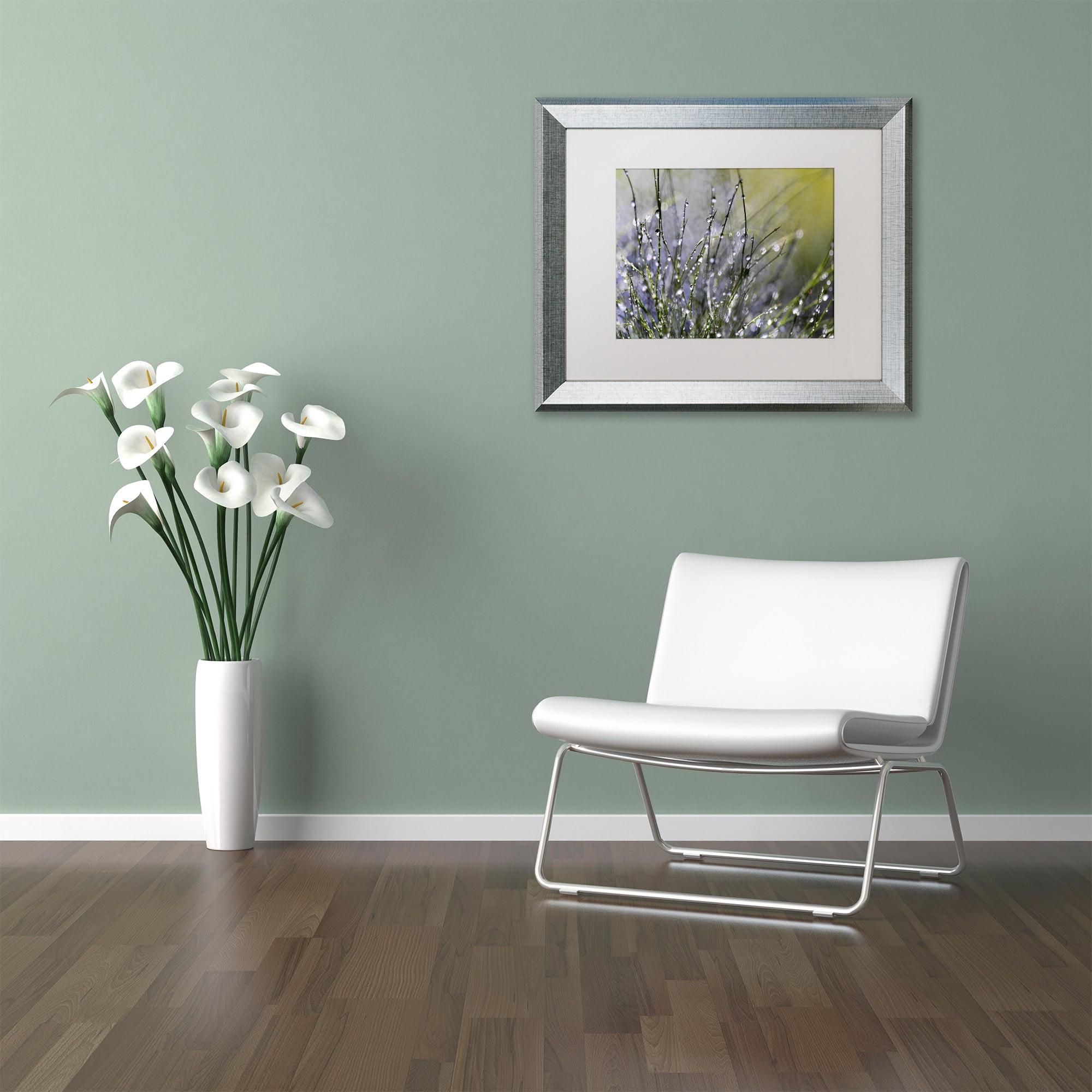 Trademark Fine Art "Spring Morning" Canvas Art by Beata Czyzowska Young, White Matte, Silver Frame