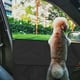 thumbnail image 3 of 2 protectores de puerta de coche para perros, resistentes a los arañazos y a prueba de agua., 3 of 5