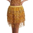 thumbnail image 3 of Falda de borlas de lentejuelas para danza del vientre, disfraz de Halloween, falda de actuación con lentejuelas sexy, 3 of 6