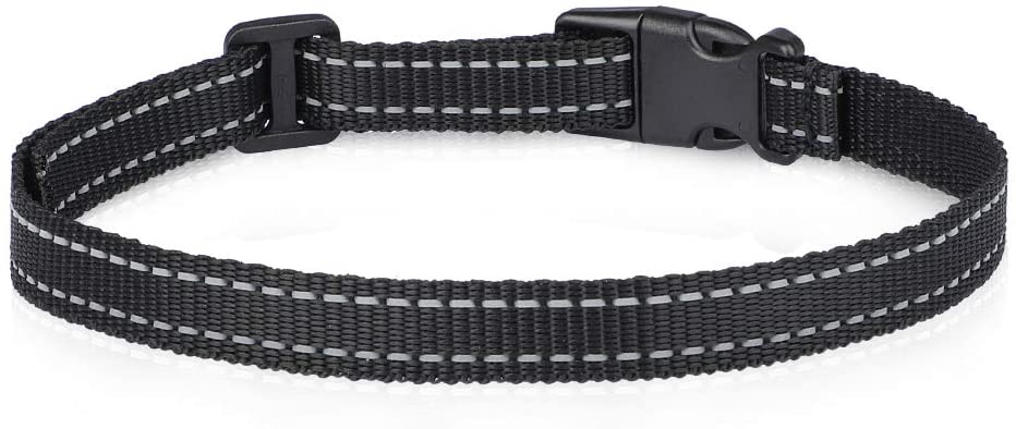 extra small dog bark collar