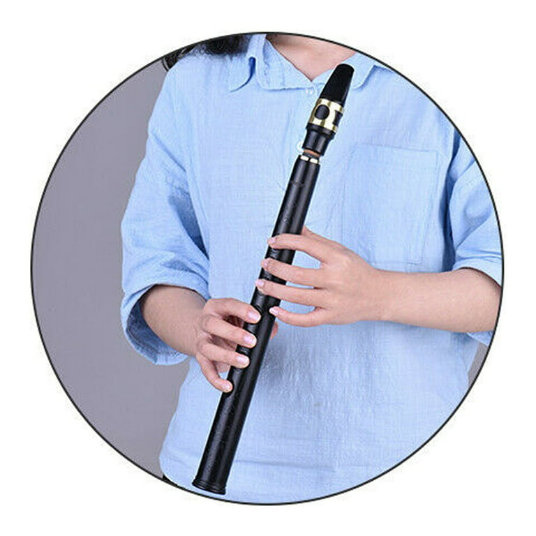 Mini Pocket Saxophone Little Sax Instrument Set with Reeds Pads Bag for  Beginner