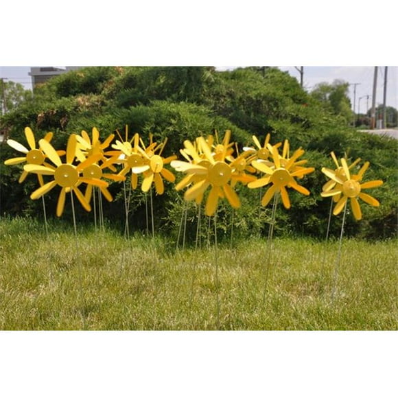 Beloit Plastics 854961003897 Early Blooming Spining Daisy, Yellow - Box of 12