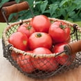 thumbnail image 5 of (2 pack) Bonnie Plants Early Girl Tomato 19.3 oz., 5 of 12