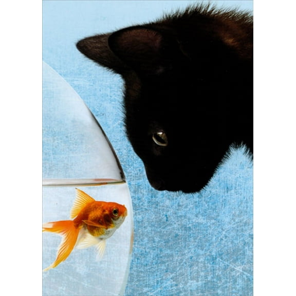 Designer Greetings Black Cat Staring at Goldfish Funny : Humorous Birthday Card