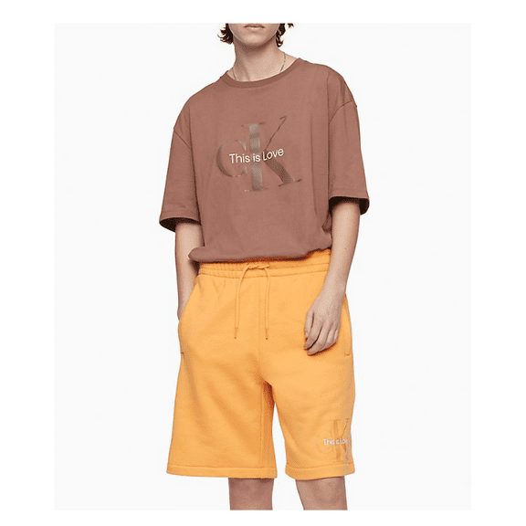 Calvin Klein Pride Relaxed Fit Monogram Logo Crewneck T-Shirt, Aztec,2XL