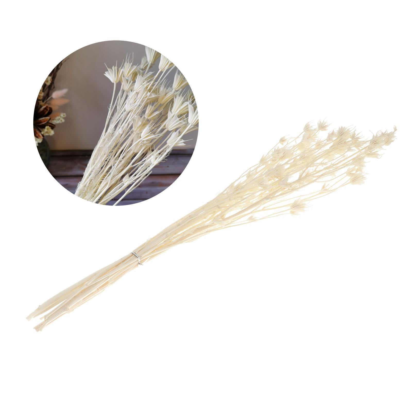 WLPZXP Dried Anise Flower Bouquet Farmhouse Table Centerpieces Vase Filler White