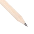 thumbnail image 2 of FRCOLOR 50pcs Short Writing Pencils Kids Writing Pencils Log Short Pencils Erasable Short Pencils, 2 of 4