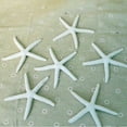 thumbnail image 4 of Ludlz Artificial Starfish Solid Color Decorative Resin Beach Coastal Starfish Nautical Ornament for Wedding, 4 of 6