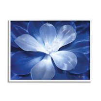 Stupell Industries Monochromatic Blue Succulent Plant Detailed Botanical Petals,30 x 24, Design by Lori Deiter