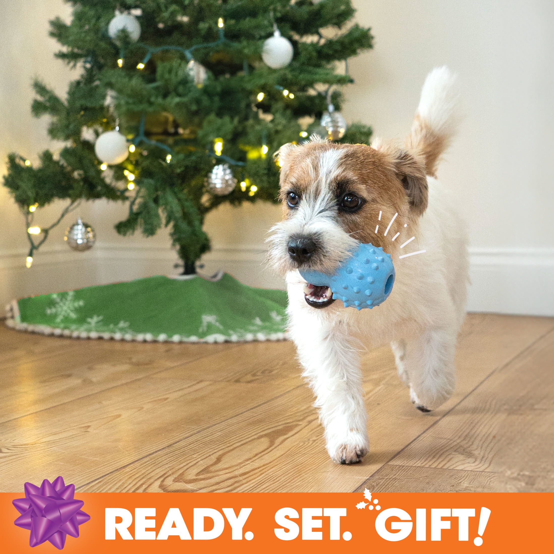 Nylabone Strong Chew Holiday Box - Small Chew Toys & Treat Gift Box Small (5 Count)
