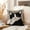Black, variant on Euaioeiu Cute Cat Pillowcase with Hidden Zipper, Soft Plush Decorative Throw Pillow Cover, Cozy Home Decor for Bedroom Sofa Living Room, Cuddly Pet Lover Gift