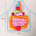 thumbnail image 4 of Delantal YONGSHENG Anatomía Conciencia de órganos del cuerpo humano Juguete para niños 62,5*44 cm, 4 of 4