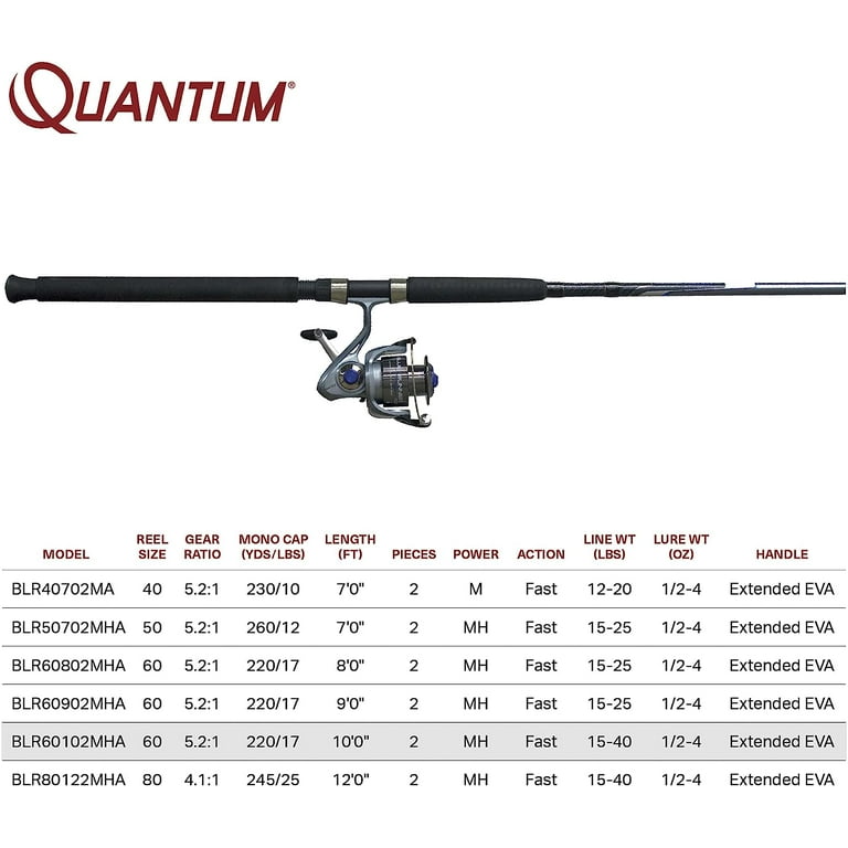 Quantum Blue Runner Catfish Casting Pole, 10-Foot Rod, Size 60