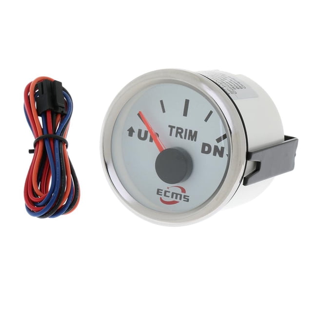 52 mm Impermeable -DN 0-190Ω 9-32V 316L Cara Blanca 1