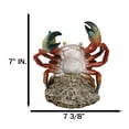 thumbnail image 2 of Ocean Marine Giant Stone Anthropod Crab With Black Claws Wine Bottle Holder, 2 of 9