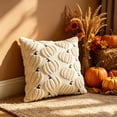 thumbnail image 6 of White Embroidered Pumpkin Pillowcase, Soft Chenille Square Cover, 17x17 Inch for Neutral Fall Home Decor, 6 of 7