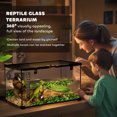 thumbnail image 3 of PawHut Glass Reptile Terrarium with Thermometer, Water Basin, Full View Visually for Lizards, Horned Frogs, Snakes, Spiders, 3 of 7