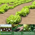 thumbnail image 6 of Paper Weed Barrier,Bexikou 1.25 x 33 Ft Garden Kraft Paper Landscape Fabric for Weed Control, Landscape Cardboard Roll for Gardening, Lawns & Weed Control, 6 of 7