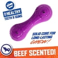 thumbnail image 3 of Nerf Dog 7in TPR/PP Scented Beef SuperScent Barbell Solid Core -Clear/Purple, Small (NF-7131), 3 of 5