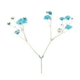 thumbnail image 2 of 12Pcs Pressed Dried Flowers for DIY Arts Crafts Resin Jewelry Making Accessory, 2 of 7
