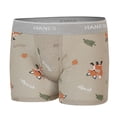 thumbnail image 2 of Calzoncillos tipo bóxer Hanes Soft de Underwear para niños pequeños, paquete de 10, 2 of 2