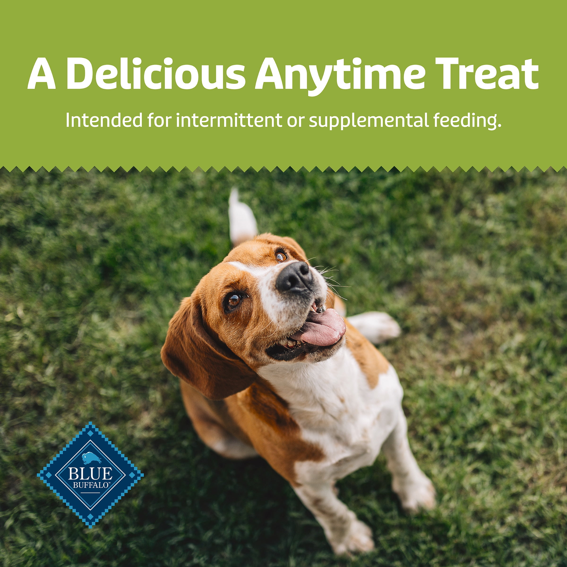 Blue Buffalo Health Bars Crunchy Dog Biscuits, Apples & Yogurt, 453g