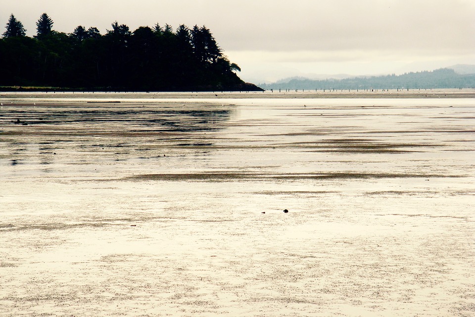 Ocean Water Tide Flats Sand Sea Mud Coast20 Inch By 30 Inch Laminated