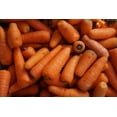 thumbnail image 2 of Imperator Carrot Seeds/ Biennial/ Full Sun/300 Seeds 1/2 Gram/ Zellajake Farm and Garden - B81, 2 of 5