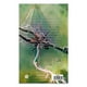 thumbnail image 2 of Ahriman nº 03 Inmutable Blanco, 2 of 3
