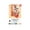 A004- Clear (Chinese Style Set), variant on Watercolor Painting Kit for Kids, 2 Paint Cards, 1 Reference Chart, 4 Brushes, 4 Painting Papers with Dream Ocean Theme - Includes Art Supplies for Beginners, Ideal for Home School Classroom Projects