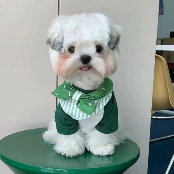 Adorable Pet Clothes for Cats & Small Dogs - Charming Spring & Autumn Wear