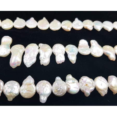 12x15mm White Fancy Coin Freshwater Pearls Genuine Gemstone Natural Jewelry Making