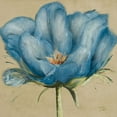 thumbnail image 2 of Pinto, Patricia 15x15 White Modern Wood Framed Museum Art Print Titled - Blue Double Tulips II, 2 of 4