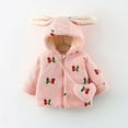 thumbnail image 2 of FDDMis Jacket for Toddler Girl Baby Girl Coat 9-12 Months Baby Coats Boys Sherpa Lined Hoodie New Born Girl Clothes Infant Clothes Boys 3-6 Months, 18-24 Months, 2 of 9
