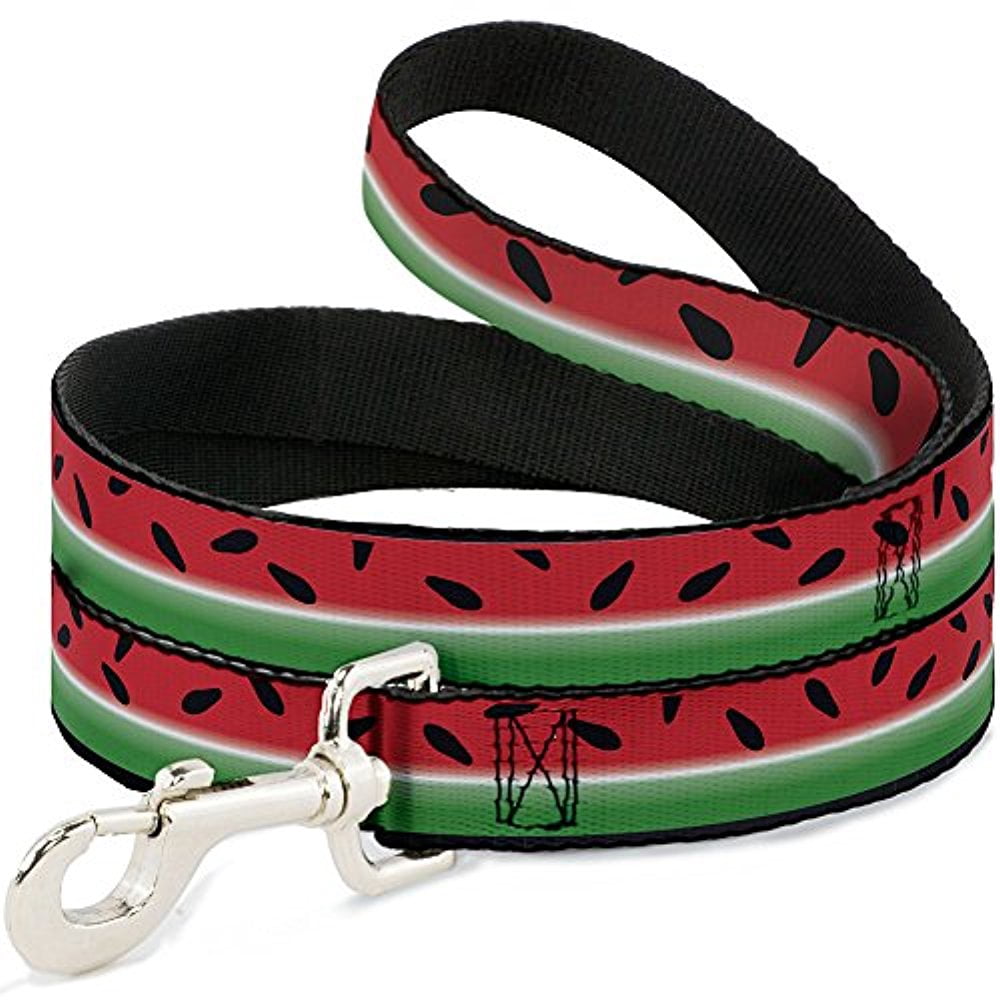 Buckle-Down "Watermelon Stripe Red Green Black" Dog Leash