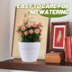 thumbnail image 4 of IDEANATEGRATE Planta Falsa En Maceta Con Duraznos Decorativa Para Interiores Y Repisas, 4 of 6