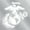 White, variant on White USMC Eagle Globe and Anchor Logo Clear Sticker
