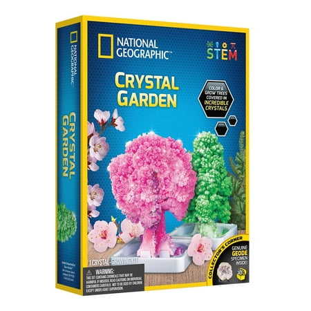 NATIONAL GEOGRAPHIC Crystal Growing Garden Grow Two Crystal Trees in Just 6 Hours with This Crystal Growing Kit for Kids  Includes Geode  Learning Guide  and More  Great Gift for Boys and Girls