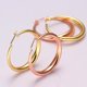 thumbnail image 5 of E031-A Compras gratis Pendientes chapados en oro de 18 quilates Pendientes de circón Oro rosa-110485.02 Likrtyny Para estrenar, 5 of 6