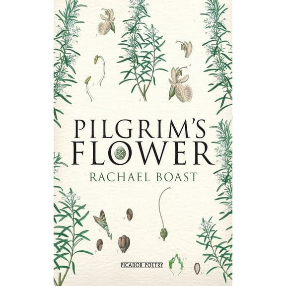 Pilgrim's Flower, (Paperback)