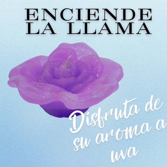 Vela de rosa con aroma a uva 2 piezas